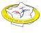 Classements Nationaux : le Top 20 au 1er juin 2013