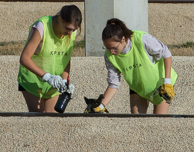 CdFSM2019_CNTS_©FFTir_SiteWeb4.jpg CdFSM2019_CNTS_©FFTir_SiteWeb4.jpg