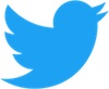 Twitter_Bird.svg - copie.jpg