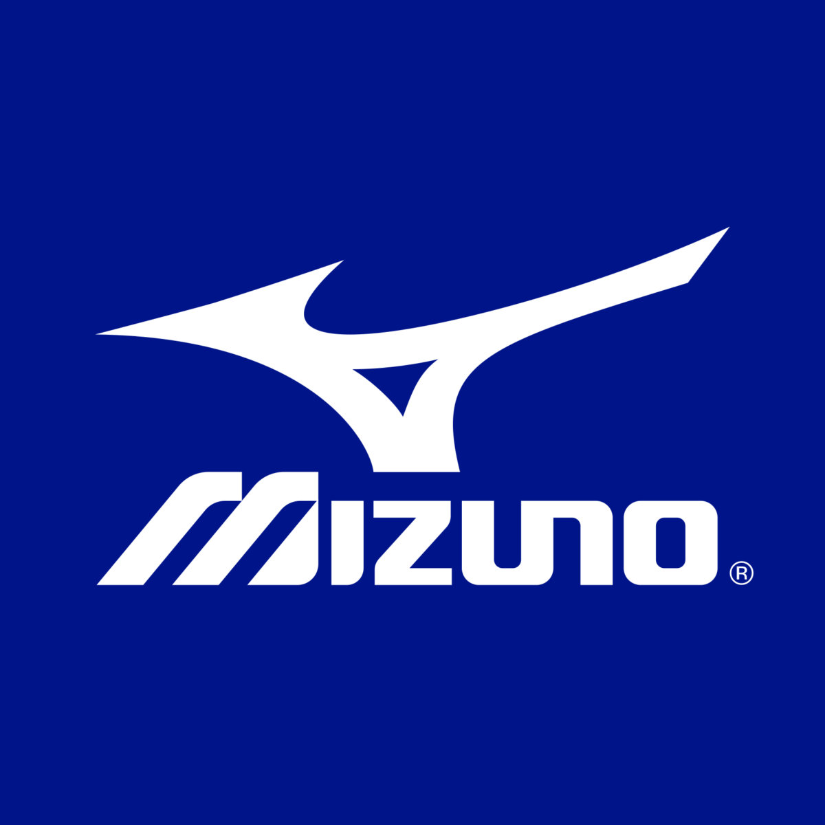 Mizuno